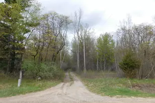 14540 Schroeder Rd, Saint Charles, MI 48655 - Photo 45