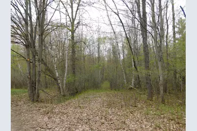 14540 Schroeder Road, Saint Charles, MI 48655 - Photo 39