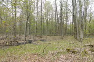 14540 Schroeder Rd, Saint Charles, MI 48655 - Photo 31