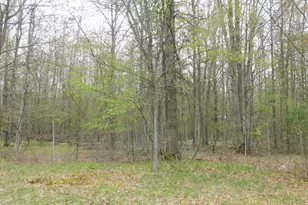 14540 Schroeder Rd, Saint Charles, MI 48655 - Photo 27