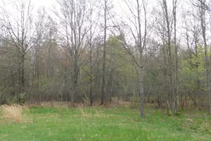 14540 Schroeder Rd, Saint Charles, MI 48655 - Photo 25
