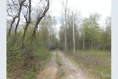14540 Schroeder Road, Saint Charles, MI 48655 - Photo 43
