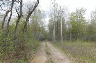14540 Schroeder Rd, Saint Charles, MI 48655 - Photo 43