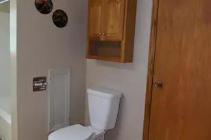5251 Hudson Rd, Osseo, MI 49266 - Photo 29