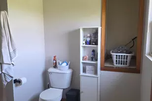 1627 W Barnes Rd, Leslie, MI 49251 - Photo 29