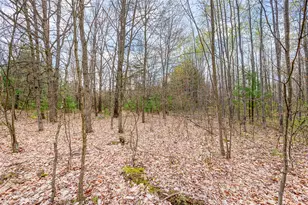 7856 135th Ave, Stanwood, MI 49346 - Photo 55