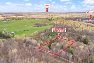 16404 12 Mile Rd, Leroy, MI 49655 - Photo 39