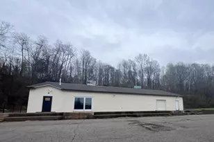 14043 Fulton St E, Lowell, MI 49331 - Photo 1