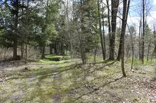 2263 W Riverbend Trl, Baldwin, MI 49304 - Photo 27