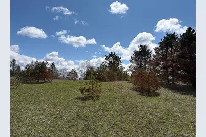 V/L Spruce Ridge Road #13, Bear Lake, MI 49614 - Photo 5