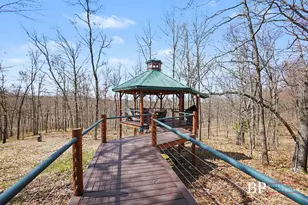 94 W Roosevelt Rd, Bitely, MI 49309 - Photo 11