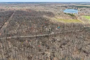 94 W Roosevelt Rd, Bitely, MI 49309 - Photo 19