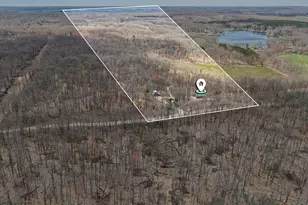 94 W Roosevelt Rd, Bitely, MI 49309 - Photo 25