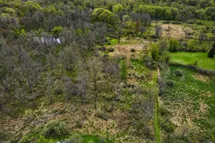 5655 Pingree Rd, Howell, MI 48843 - Photo 41