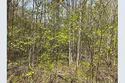 V/L 6th Avenue, South Haven, MI 49090 - Photo 7