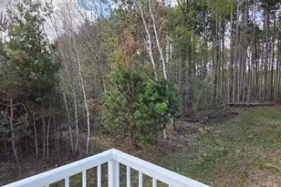 891 N White Birch Dr, Ludington, MI 49431 - Photo 35