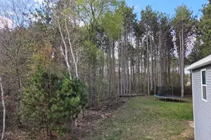 891 N White Birch Dr, Ludington, MI 49431 - Photo 75