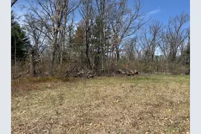 Vl S James Road, Baldwin, MI 49304 - Photo 1