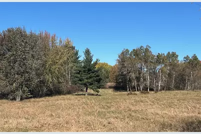 3344 E Hansen Road, Custer, MI 49405 - Photo 47