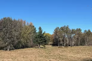 3344 E Hansen Rd, Custer, MI 49405 - Photo 47