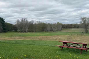 3344 E Hansen Rd, Custer, MI 49405 - Photo 55