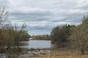 3344 E Hansen Rd, Custer, MI 49405 - Photo 59