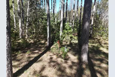 16880 Vondra Road, Thompsonville, MI 49683 - Photo 29