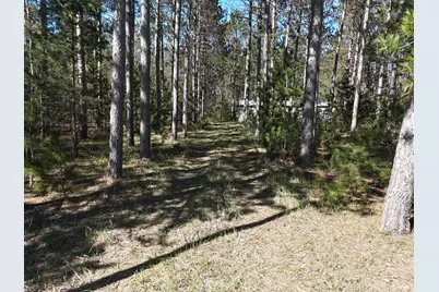 16880 Vondra Road, Thompsonville, MI 49683 - Photo 23