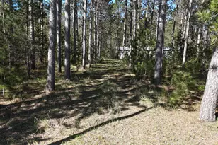 16880 Vondra Rd, Thompsonville, MI 49683 - Photo 23