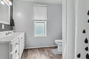 243 E Catherine St, Bellevue, MI 49021 - Photo 11