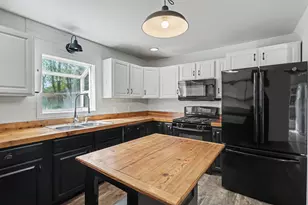 243 E Catherine St, Bellevue, MI 49021 - Photo 9