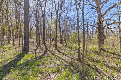 1057 W Tuttle Road, Ionia, MI 48846 - Photo 17