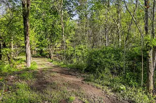 711 N Burr Oak Rd, Colon, MI 49040 - Photo 15