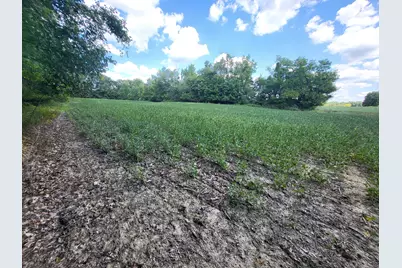 1400 Block Broceus School Road, Buchanan, MI 49107 - Photo 21