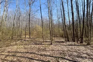 7415 E Anthony Rd, Branch, MI 49402 - Photo 77
