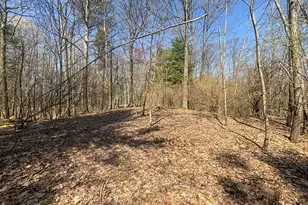 7415 E Anthony Rd, Branch, MI 49402 - Photo 81