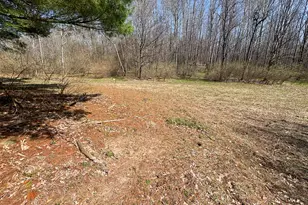 7415 E Anthony Rd, Branch, MI 49402 - Photo 75