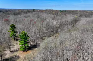 7415 E Anthony Rd, Branch, MI 49402 - Photo 61