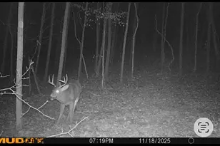 7415 E Anthony Rd, Branch, MI 49402 - Photo 91