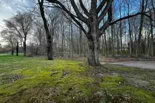 8768 Jerome Rd N, Jerome, MI 49249 - Photo 15
