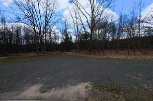 19543 Connelly Rd, Wellston, MI 49689 - Photo 57