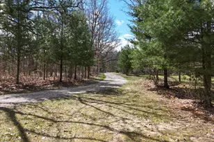 19543 Connelly Rd, Wellston, MI 49689 - Photo 63