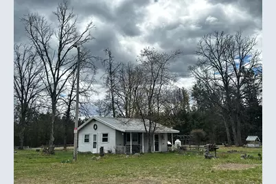 955 E 11 Mile Road, Irons, MI 49644 - Photo 3