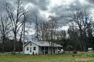 955 E 11 Mile Rd, Irons, MI 49644 - Photo 3