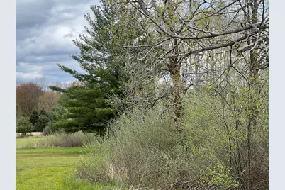 11148 N Satterlee Road, Lakeview, MI 48850 - Photo 3