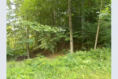 Lot #10 Long Lake Drive, Cassopolis, MI 49031 - Photo 9