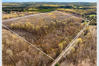 Love Road, Benzonia, MI 49616 - Photo 15