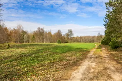 Love Road, Benzonia, MI 49616 - Photo 7