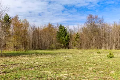 Love Road, Benzonia, MI 49616 - Photo 9