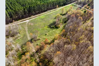 Love Road, Benzonia, MI 49616 - Photo 5